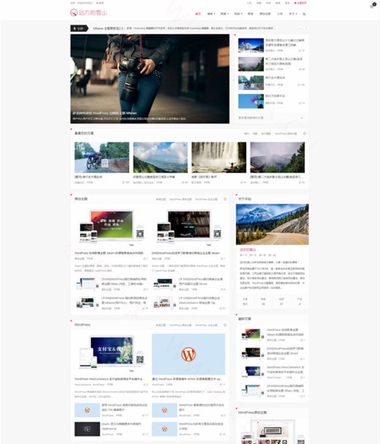 新闻、画廊、视频响应式网站WordPress模板演示图