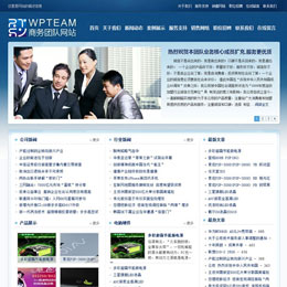 中文企业Team网站WordPress模板下载