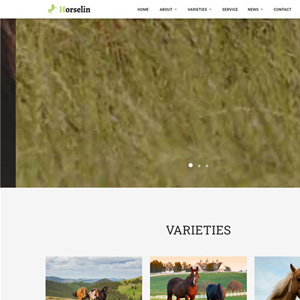 养马场畜牧业马匹饲养养殖场网站制作_网站建设模板