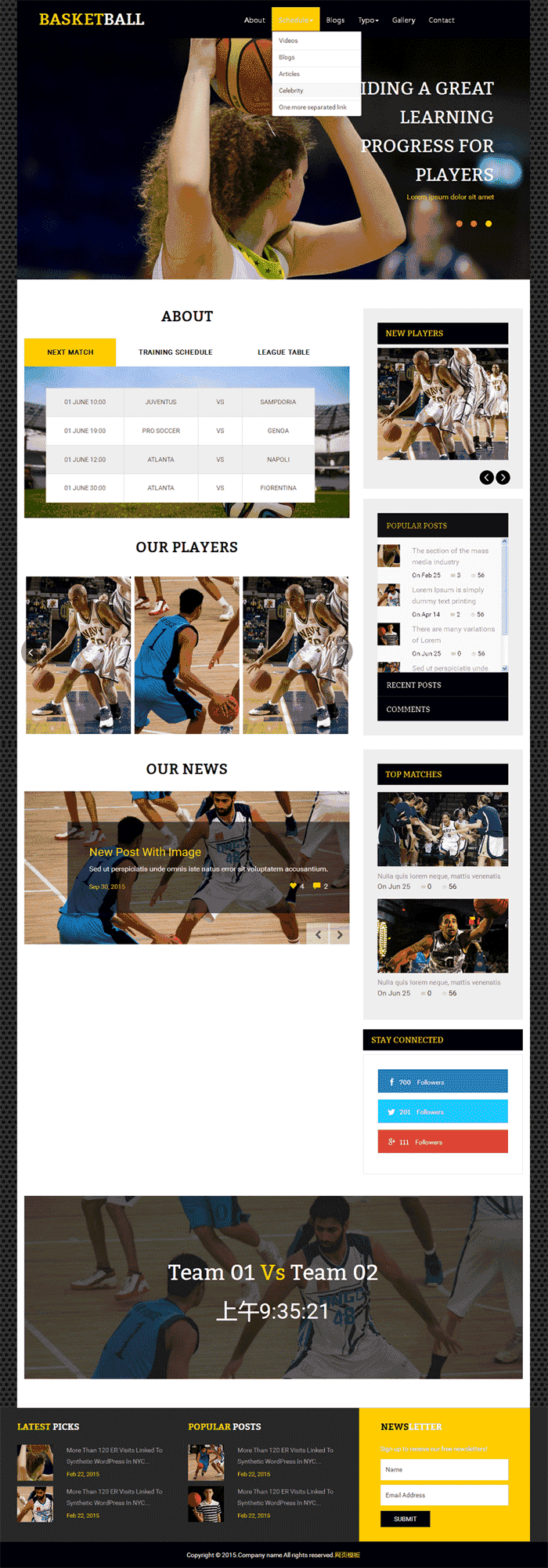 黑色的体育篮球俱乐部网站制作_网站建设模板演示图