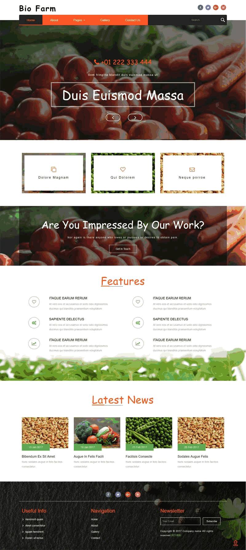 大气有机蔬菜水果种植WordPress网站主题模板演示图