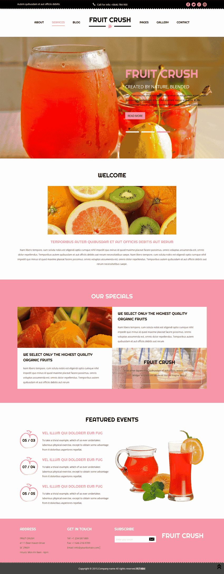 国外水果榨汁饮料店铺响应式网站WordPress模板演示图