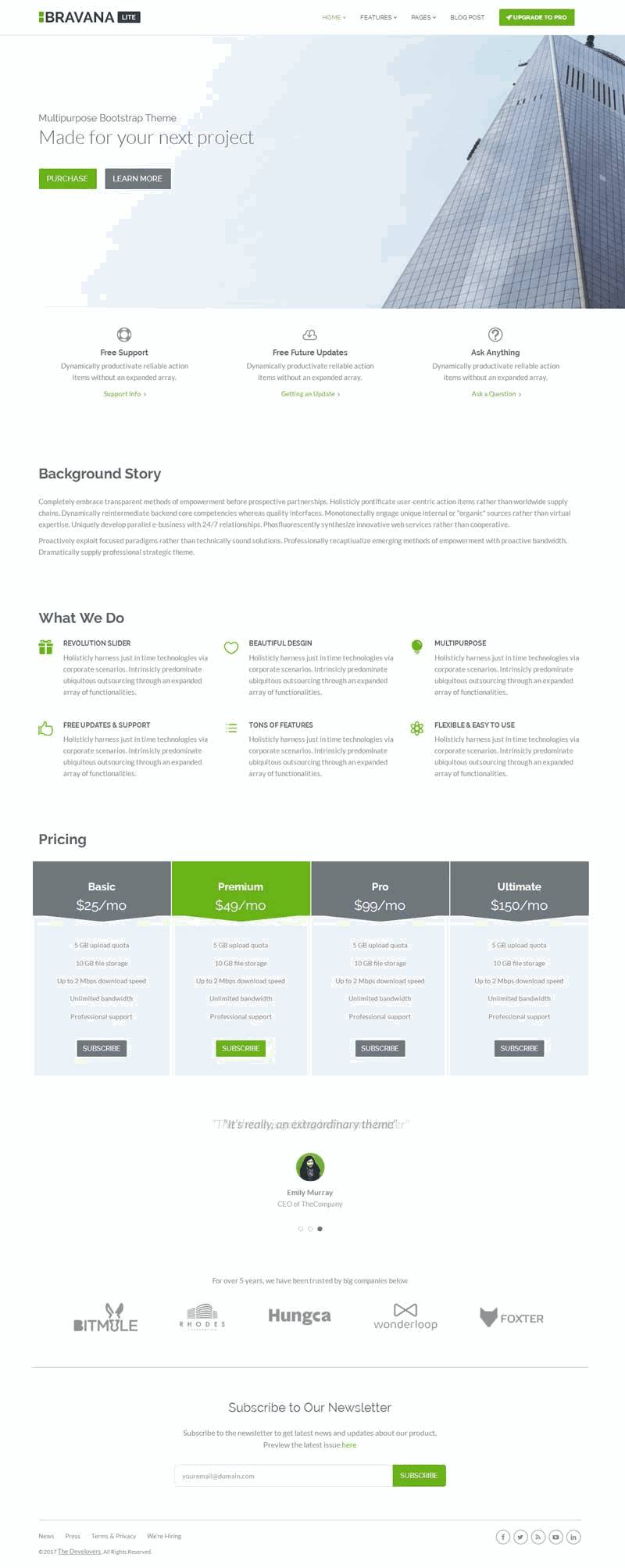 绿色实用软件开发公司官网自适应WordPress网站模板演示图