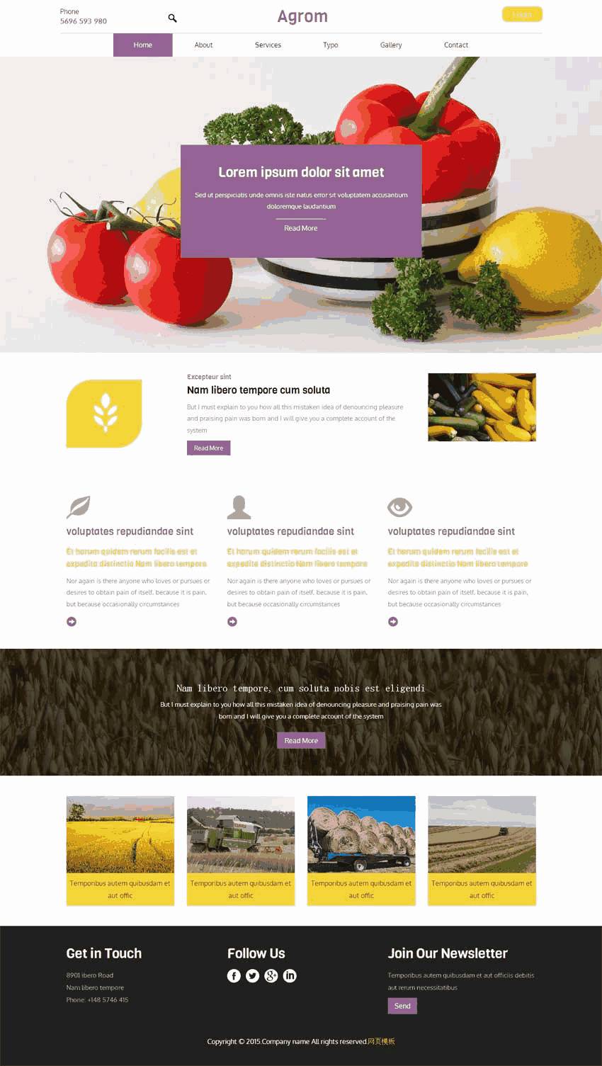 国外宽屏蔬菜种植农业Wordpress模板主题