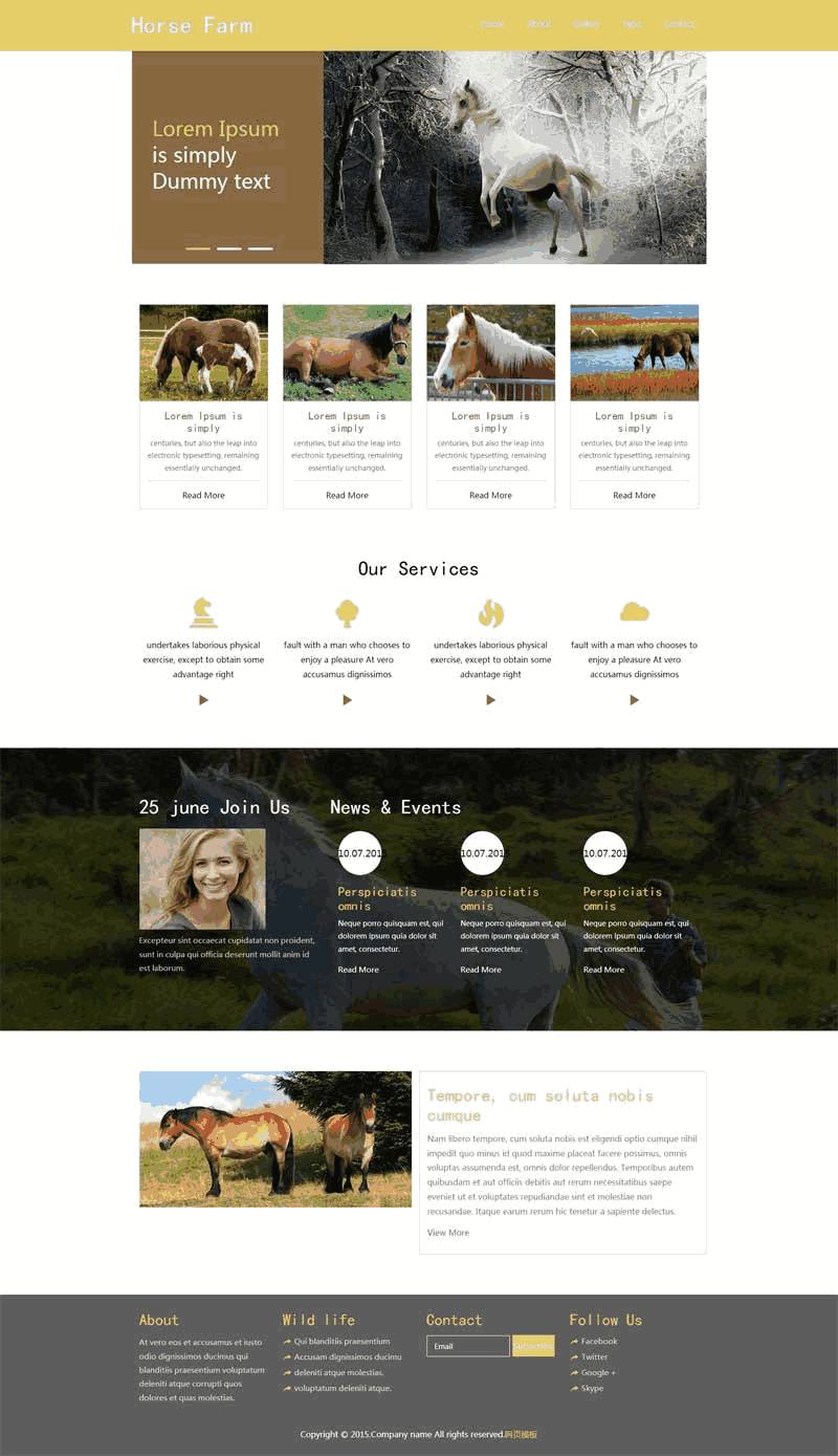 简单的畜牧业养殖场网站制作_网站建设模板演示图