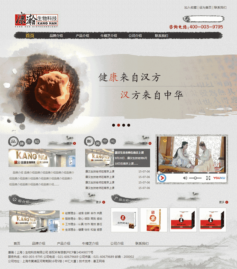 中国水墨风格的健康医药介绍网站制作_网站建设模板演示图