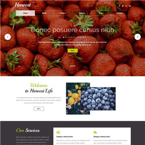 宽屏国外水果种植网站WP模板（PC+手机站）