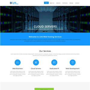 蓝色扁平风格虚拟主机IT公司网站主题模板下载