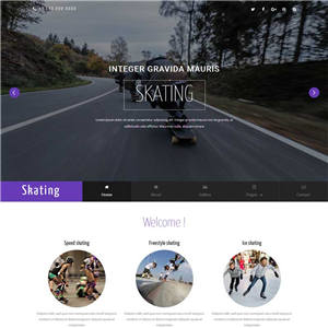 紫色大气滑板俱乐部网站WordPress模板下载