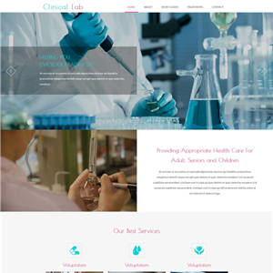 宽屏医疗化学实验室手机类网站WordPress主题模板