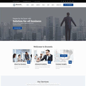 蓝色商业咨询服务公司网站含手机站WordPress模板下载