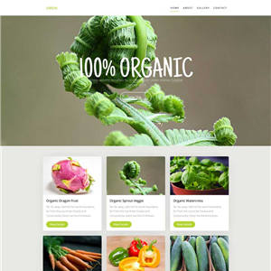 绿色有机蔬菜种植动画网站WordPress模板含手机站