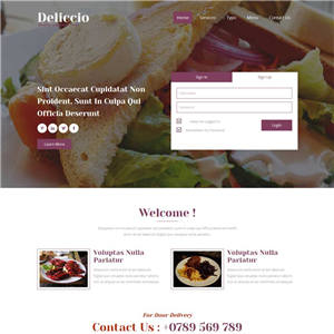红色餐饮美食网站主题模板下载