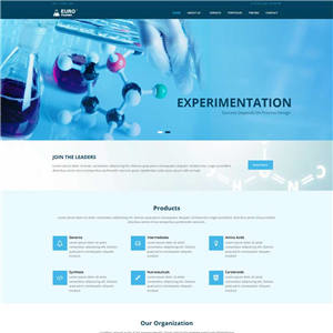 大气生物化学研究科研项目手机网站WordPress模板下载