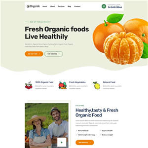 有机食品农场主页响应式网站WordPress模板