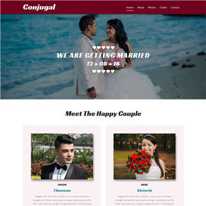 红色婚纱摄影工作室网站WP模板（PC+手机站）