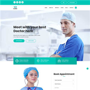 绿色医院诊所网站WordPress模板含手机站