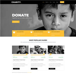 儿童慈善救助基金公益网站WordPress模板主题