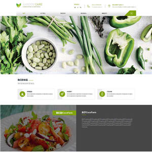 绿色大气有机蔬菜食品公司手机WordPress网站主题模板