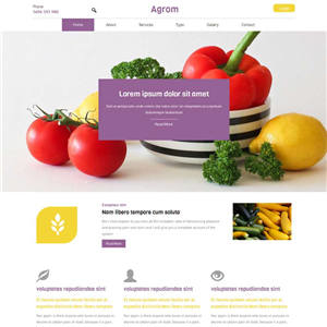 国外宽屏蔬菜种植农业网站WordPress模板下载