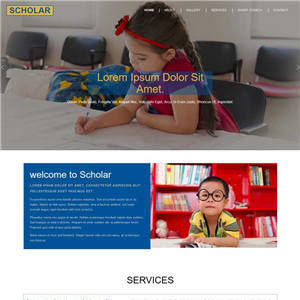 实用儿童教育学校网站带手机端WordPress模板