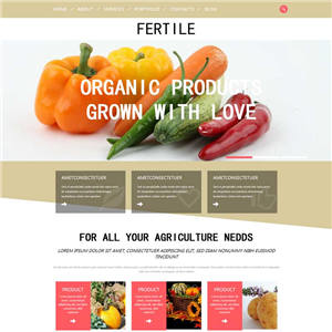 简单国外蔬菜水果种植生产网站WordPress模板带手机端