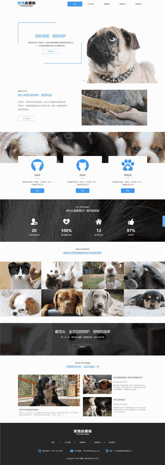 响应式宠物动物宠物店WordPress网站模板演示图