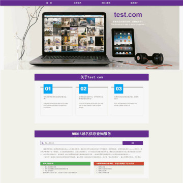 自适应紫色互联网络域名出售网站WordPress模板主题