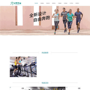 自适应运动健身天衡体育器材行业网站WordPress模板