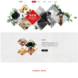 宠物协会宠物类网站WordPress主题模板