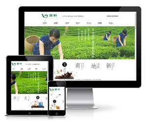 绿色茶叶企业网站含手机站WordPress模板下载