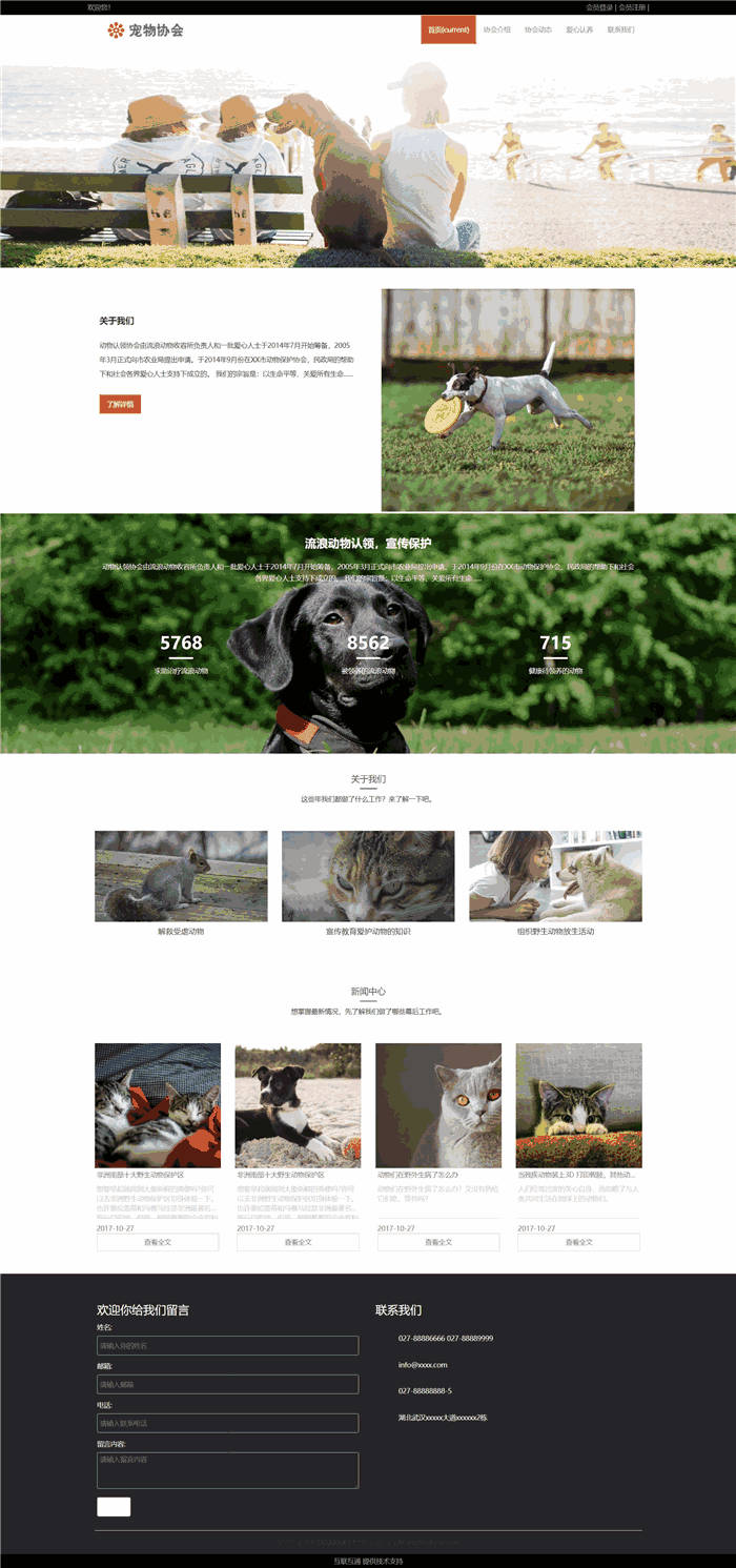 高端动物保护协会网站WordPress主题模板演示图