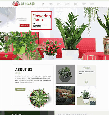 绿植花卉盆栽网站WordPress模板带手机端